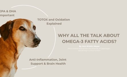 Omega-3 vetzuren