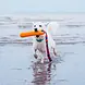 Tug-E-Nuff Dog Gear Limited Tug-E-Nuff BOB: The 3-in-1 Dog Dummy Tug-E-Nuff Dog Gear Limited Tug-E-Nuff BOB: The 3-in-1 Dog Dummy