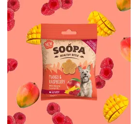 Soopa Soopa Bites - Mango & Raspberry Soopa Soopa Bites - Mango & Raspberry