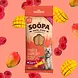 Soopa Soopa Dental Sticks - Mango & Raspberry Soopa Soopa Dental Sticks - Mango & Raspberry