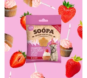 Soopa Soopa Bites - Strawberry & Coco-Cream Cupcake Soopa Soopa Bites - Strawberry & Coco-Cream Cupcake