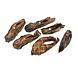 Zalm Steaks 250 gram Zalm Steaks 250 gram