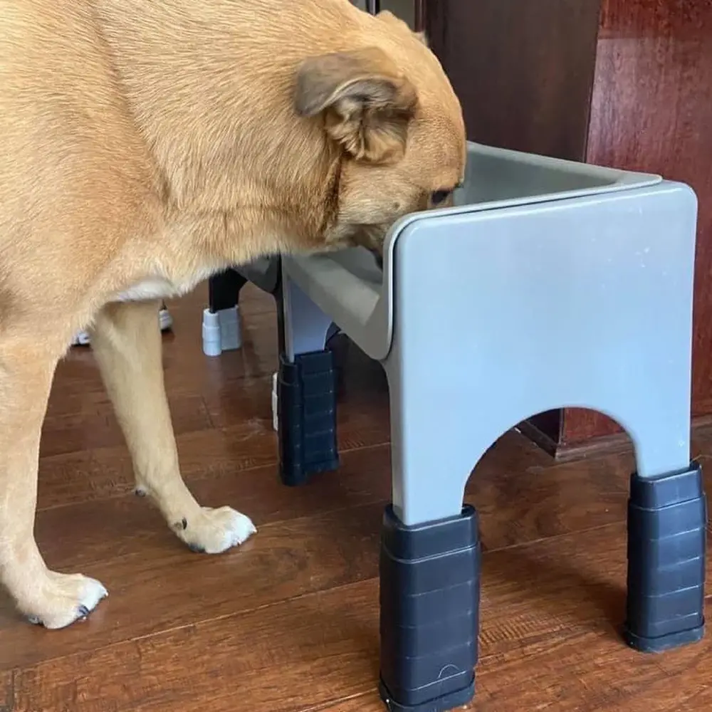 Fluff Trough Fluff Trough Stapelbare Verhoging Voeten Fluff Trough Fluff Trough Stapelbare Verhoging Voeten