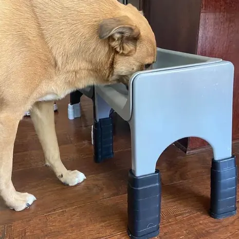 Fluff Trough Fluff Trough Stapelbare Verhoging Voeten Fluff Trough Fluff Trough Stapelbare Verhoging Voeten