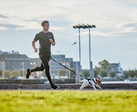 Non Stop Dogwear Non Stop Dogwear Touring Bungee Leash Non Stop Dogwear Non Stop Dogwear Touring Bungee Leash