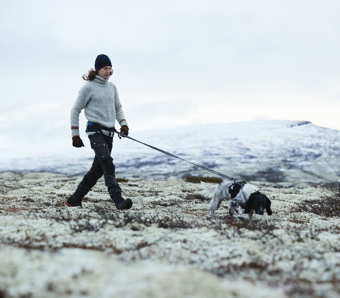 Non Stop Dogwear Non Stop Dogwear Touring Bungee Leash Non Stop Dogwear Non Stop Dogwear Touring Bungee Leash