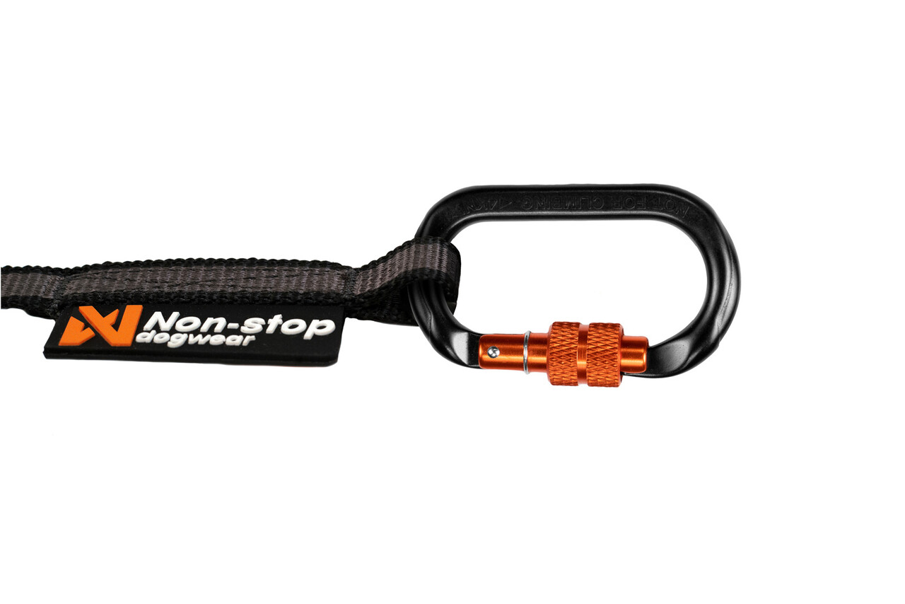 Non Stop Dogwear Non Stop Dogwear Touring Bungee Leash Non Stop Dogwear Non Stop Dogwear Touring Bungee Leash