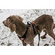Non Stop Dogwear Non Stop Dogwear Strong Leash Non Stop Dogwear Non Stop Dogwear Strong Leash