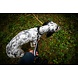 Non Stop Dogwear Non Stop Dogwear Touring Bungee Adjustable Non Stop Dogwear Non Stop Dogwear Touring Bungee Adjustable