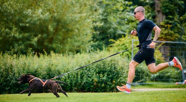 Non Stop Dogwear Non Stop Dogwear Rush Harness Non Stop Dogwear Non Stop Dogwear Rush Harness