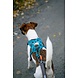 Non Stop Dogwear Non Stop Dogwear Rush Harness Non Stop Dogwear Non Stop Dogwear Rush Harness