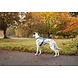 Non Stop Dogwear Non Stop Dogwear Rush Harness Non Stop Dogwear Non Stop Dogwear Rush Harness