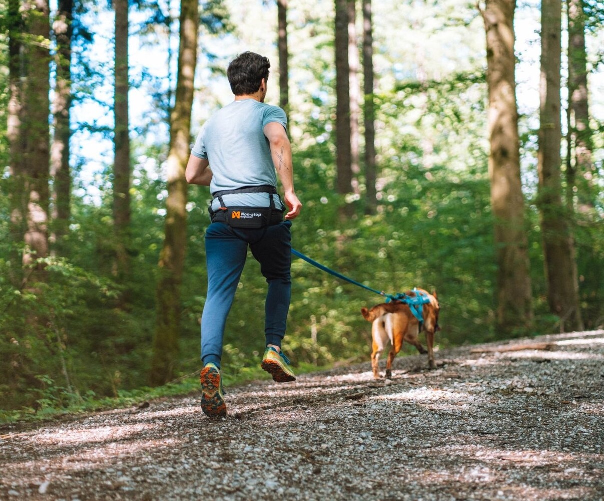 Non Stop Dogwear Non Stop Dogwear CaniX belt 2.0 Non Stop Dogwear Non Stop Dogwear CaniX belt 2.0