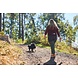 Non Stop Dogwear Non Stop Dogwear Trekking Belt 2.0 Non Stop Dogwear Non Stop Dogwear Trekking Belt 2.0