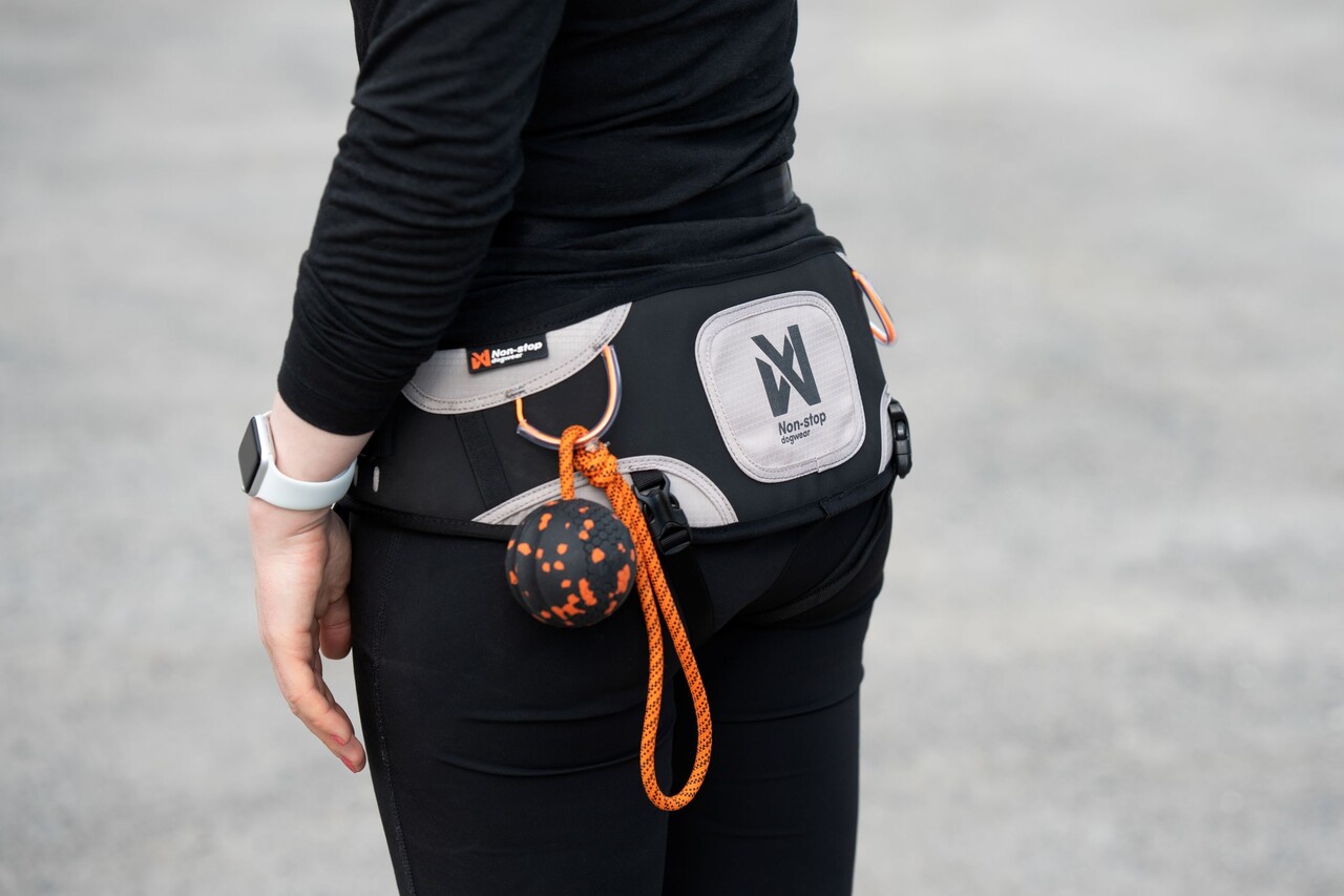 Non Stop Dogwear Non Stop Dogwear Explore Belt Non Stop Dogwear Non Stop Dogwear Explore Belt