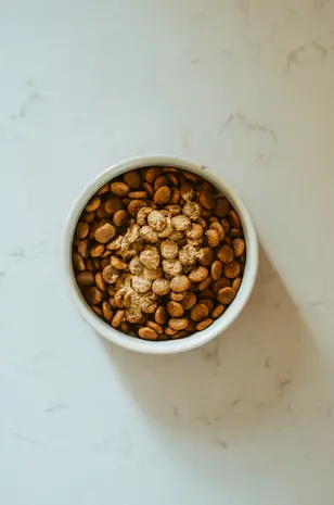 Hokuo Hokuō®  Groenlipmossel Poeder Hokuo Hokuō®  Groenlipmossel Poeder