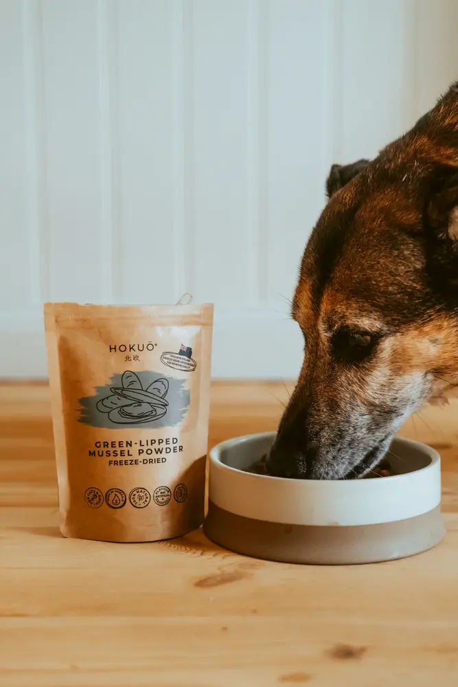 Hokuo Hokuō®  Groenlipmossel Poeder Hokuo Hokuō®  Groenlipmossel Poeder