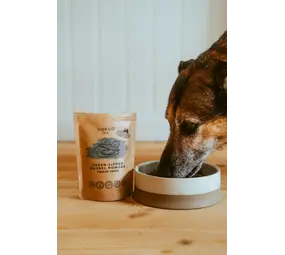 Hokuo Hokuō®  Groenlipmossel Poeder Hokuo Hokuō®  Groenlipmossel Poeder