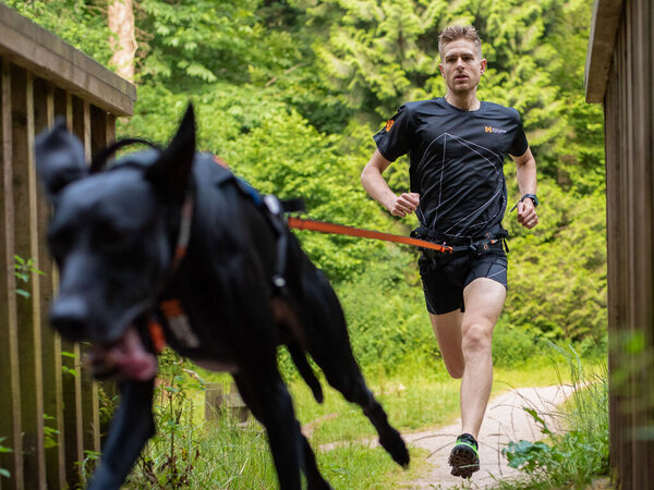 Non Stop Dogwear Non Stop Dogwear Bungee Leash Non Stop Dogwear Non Stop Dogwear Bungee Leash