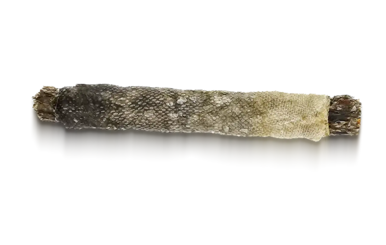 Syta Micha Syta Micha Hotdog Paard met bramen in Kabeljauwhuid Syta Micha Syta Micha Hotdog Paard met bramen in Kabeljauwhuid