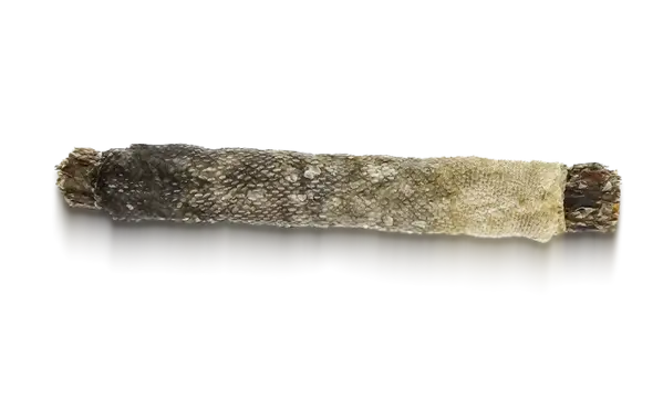 Syta Micha Syta Micha Hotdog Paard met bramen in Kabeljauwhuid Syta Micha Syta Micha Hotdog Paard met bramen in Kabeljauwhuid