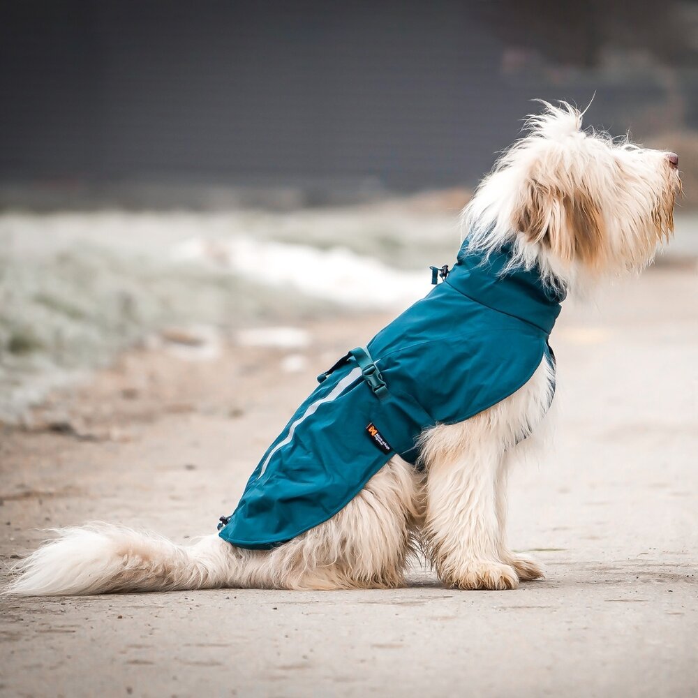 Non Stop Dogwear Non Stop Dogwear Fjord Lined Raincoat (gevoerd) Non Stop Dogwear Non Stop Dogwear Fjord Lined Raincoat (gevoerd)