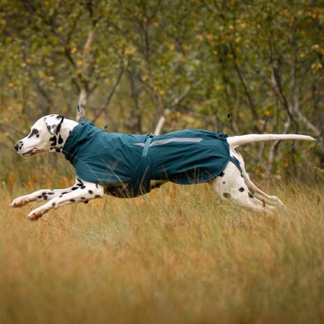 Non Stop Dogwear Non Stop Dogwear Fjord Lined Raincoat (gevoerd) Non Stop Dogwear Non Stop Dogwear Fjord Lined Raincoat (gevoerd)
