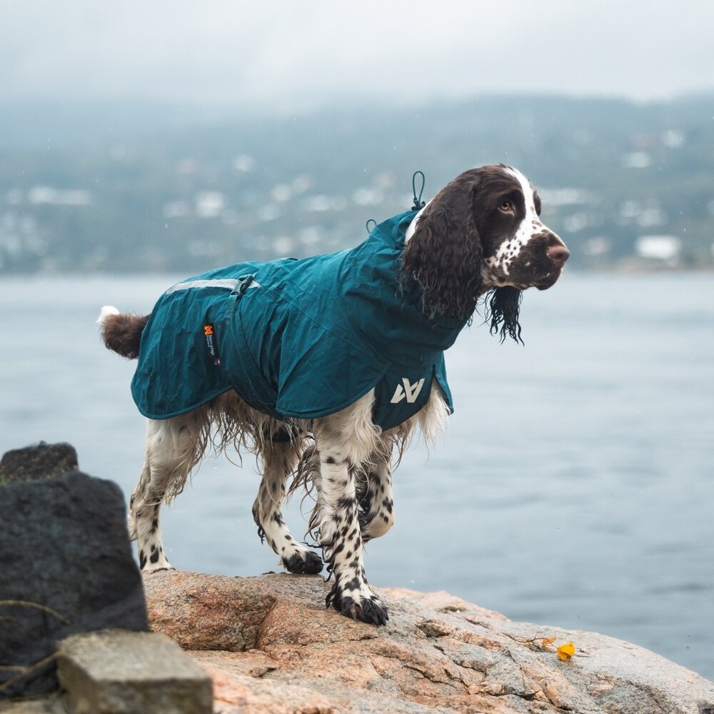 Non Stop Dogwear Non Stop Dogwear Fjord Lined Raincoat (gevoerd) Non Stop Dogwear Non Stop Dogwear Fjord Lined Raincoat (gevoerd)