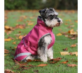 Bucas Bucas Hondenjas Rasberry 150 gr Bucas Bucas Hondenjas Rasberry 150 gr