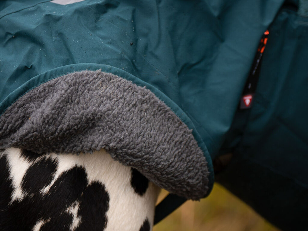 Non Stop Dogwear Non Stop Dogwear Fjord Lined Raincoat (gevoerd) Non Stop Dogwear Non Stop Dogwear Fjord Lined Raincoat (gevoerd)