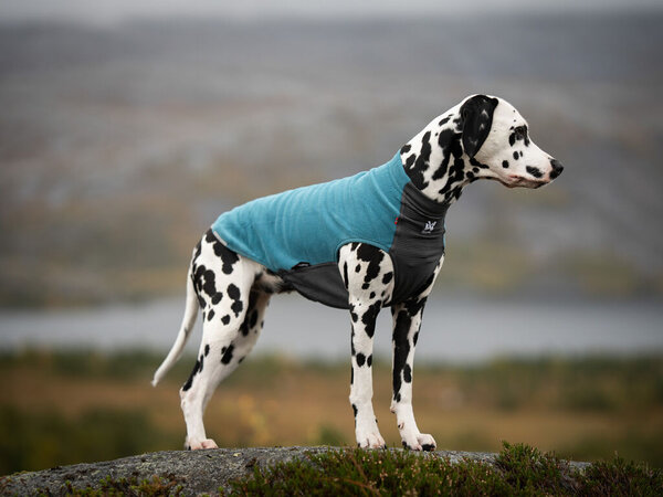 Non Stop Dogwear Non Stop Dogwear Trail Quest Fleece Pullover