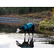 Non Stop Dogwear Non Stop Dogwear Trail Quest Fleece Pullover Non Stop Dogwear Non Stop Dogwear Trail Quest Fleece Pullover