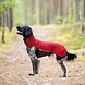 Pomppa PolarPomppa Thermal Hondentrui (met rits) Limited Edition Pomppa PolarPomppa Thermal Hondentrui (met rits) Limited Edition
