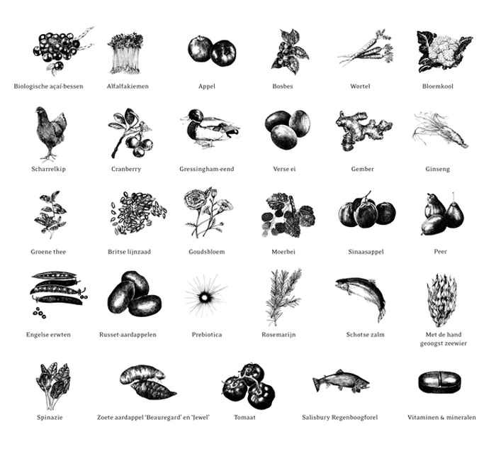 Essential Foods - Stamina