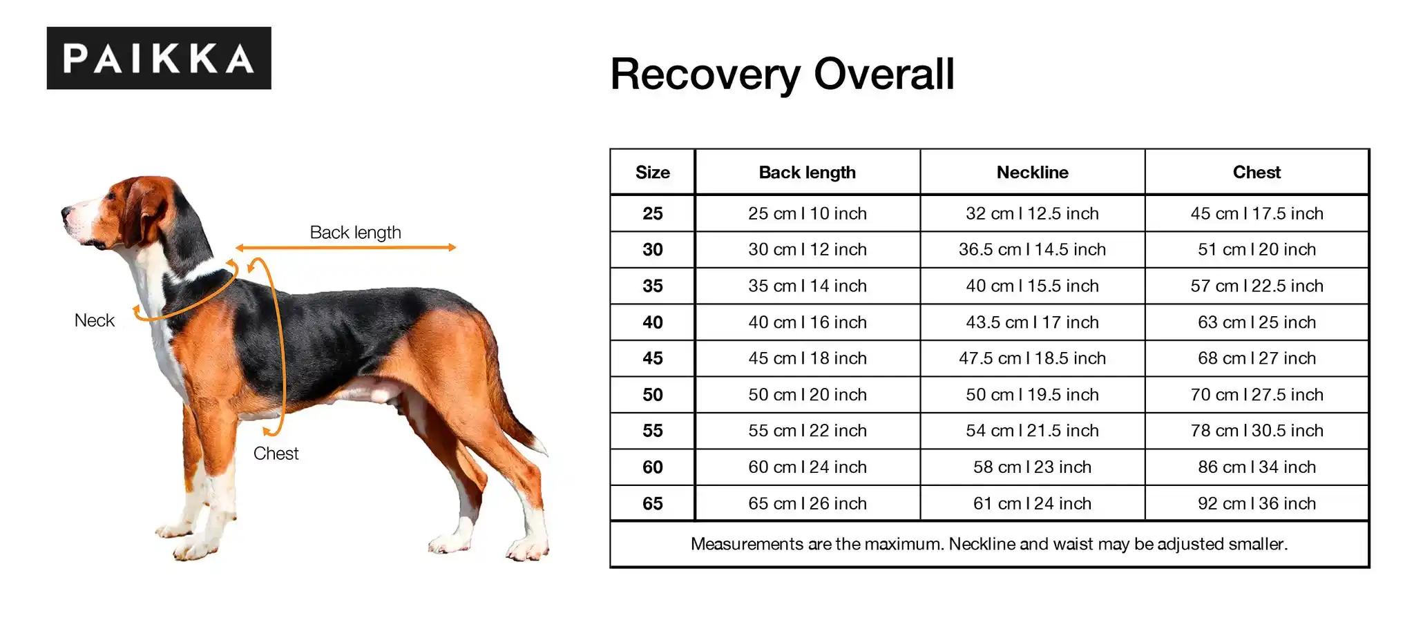 Paikka Recovery Overall