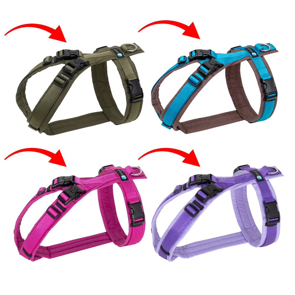 Anny-x Anny-x tuig Open (met sluitingen bij de nek) Anny-x Anny-x tuig Open (met sluitingen bij de nek)