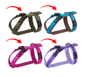 Anny-x Anny-x tuig Open (met sluitingen bij de nek) Anny-x Anny-x tuig Open (met sluitingen bij de nek)