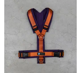 Anny-x Anny-x tuig Fun Limited Edition Paars Oranje