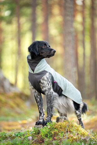 Pomppa JumppaPomppa Hondentrui Usnea Limited Edition