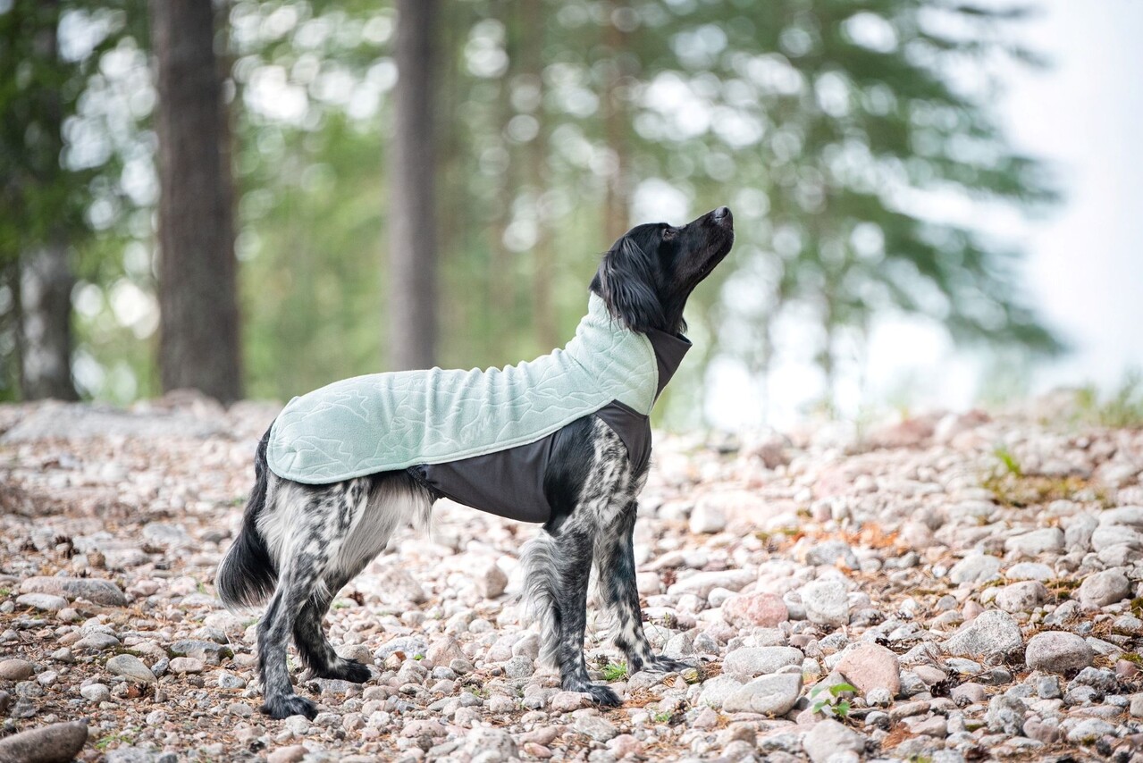 Pomppa JumppaPomppa Hondentrui Usnea Limited Edition