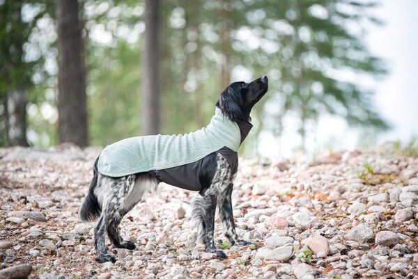 Pomppa JumppaPomppa Hondentrui Usnea Limited Edition