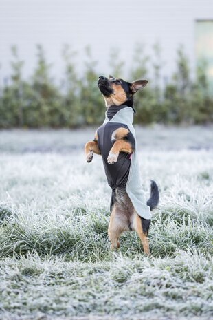 Pomppa JumppaPomppa Hondentrui Usnea Limited Edition