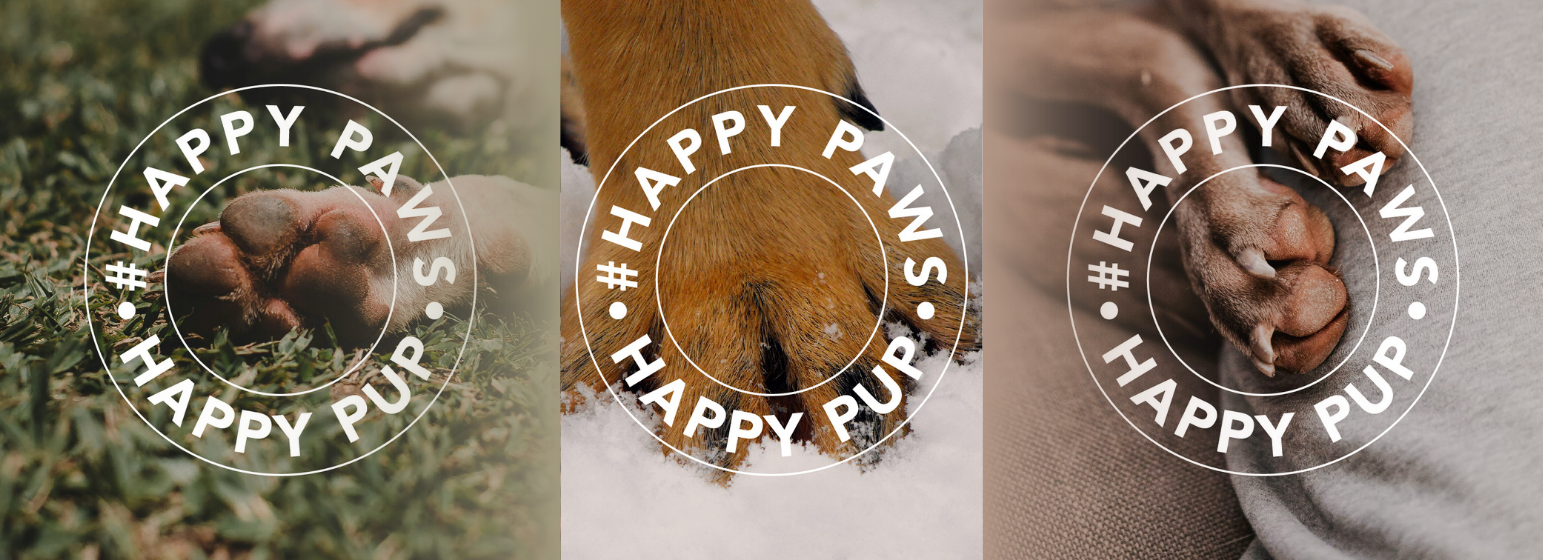 Pootverzorging voor de hond