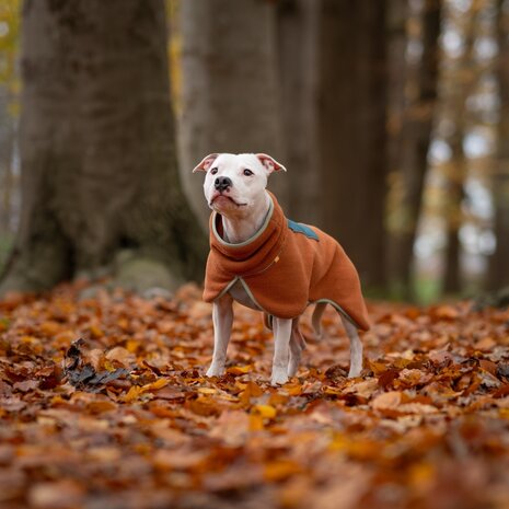 Woolly Wolf Woolly Wolf Alpha 360 Fleece Pullover