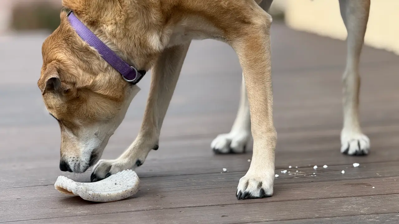 Sodapup Sodapup Nylon Potato Chip Chew Toy