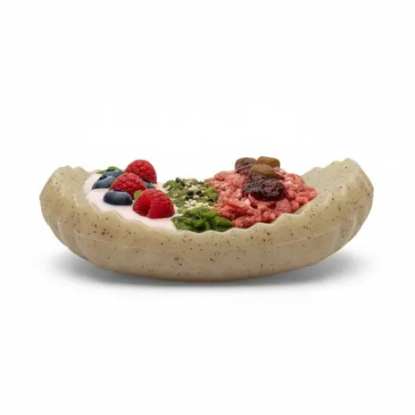 Sodapup Sodapup Nylon Potato Chip Chew Toy