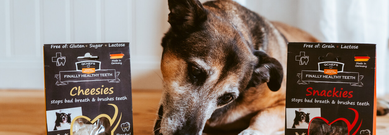 Waarom goede tandhygiëne zo belangrijk is voor je hond