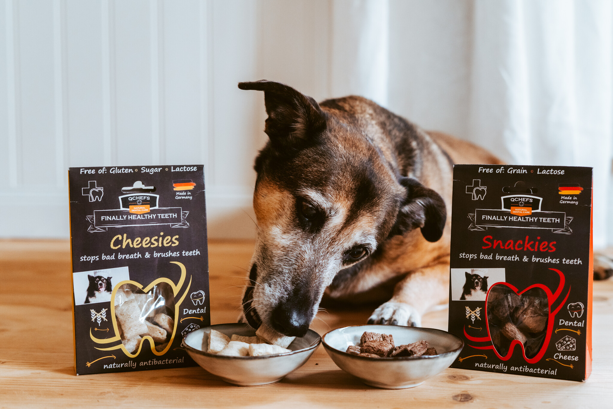 Waarom goede tandhygiëne zo belangrijk is voor je hond