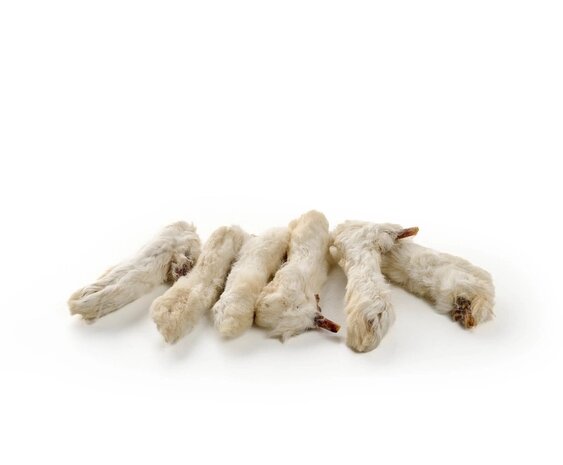 Konijnenpootjes met vacht