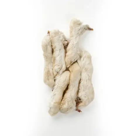 Konijnenpootjes met vacht